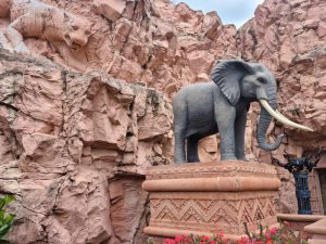 Wild Places in south Africa